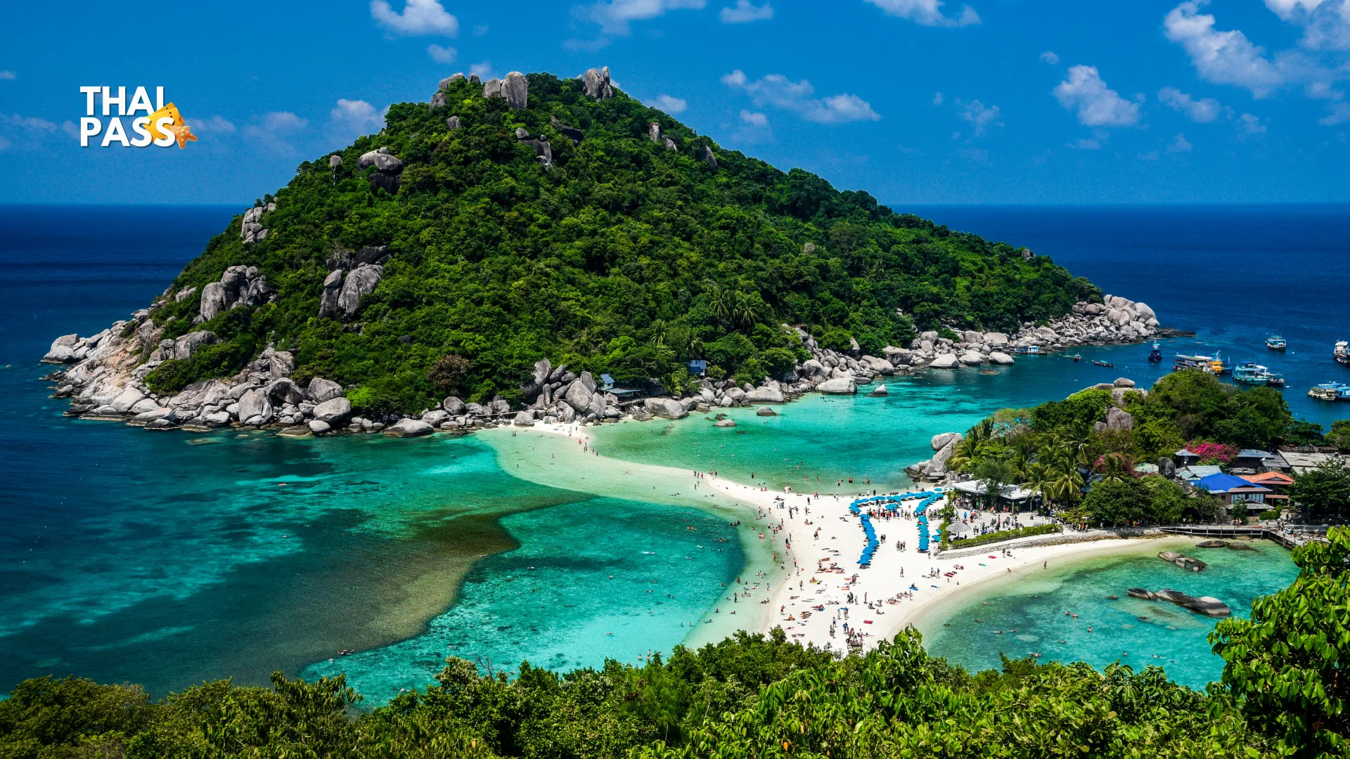 Koh Tao & Koh Nangyuan Snorkeling Tour by Speedboat from Samui - Thai Pass